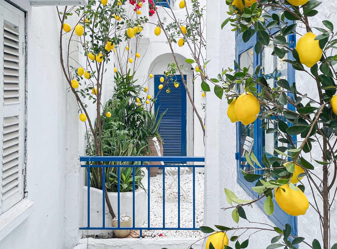 2 quán cafe phong cách Địa Trung Hải xinh, đi cafe là có cả tá ảnh mang về ở Sài Gòn