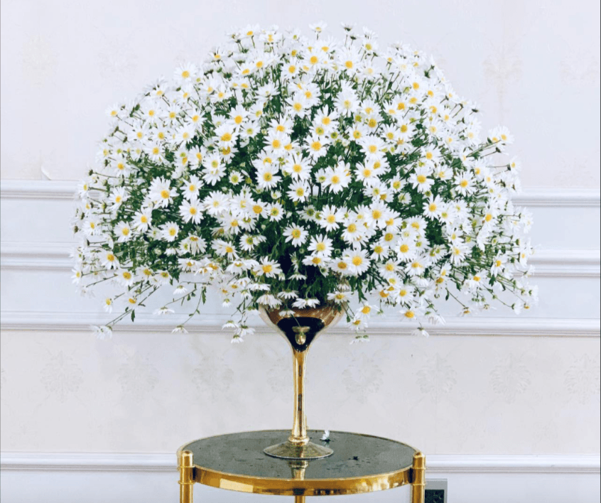 Mẹ Việt hướng dẫn cách cắm hoa cúc họa mi 10 ngày vẫn tươi đẹp mà không cần dùng xốp