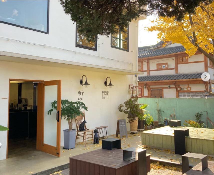 Ngôi nhà của Choi Woong trong “Our Beloved Summer”: Là quán cà phê cây xanh tuyệt đẹp