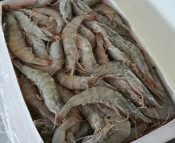 4 sai lầm khi chế biến tôm khiến tôm mất ngon, nhiều người mắc phải số 4