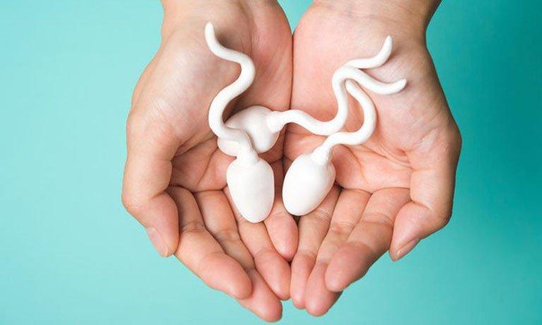 Người đàn ông ám ảnh khi biết có 19 con vì từng hiến tặng tinh trùng