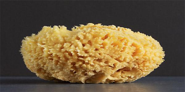 Cần Thơ: 10 viên sỏi to như san hô trong thận người đàn ông 60 tuổi