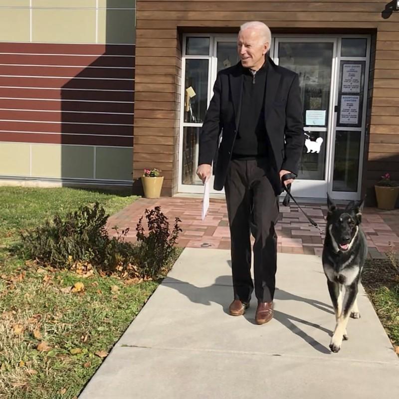 Chó cưng của Tổng thống Joe Biden sẽ được tổ chức lễ nhậm chức riêng