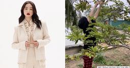 Mẹ chồng hot girl Salim: Phu nhân hào môn giản dị, tận tay chiều theo sở thích của con dâu