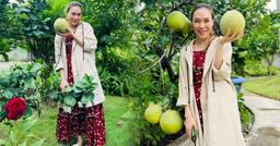 Mỹ Tâm đăng ảnh đi hái bưởi, fan rần rần "sao giống người có bầu quá trời"