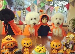 "Biến hóa" mùa lễ hội: Hóa trang Halloween cho bé gái