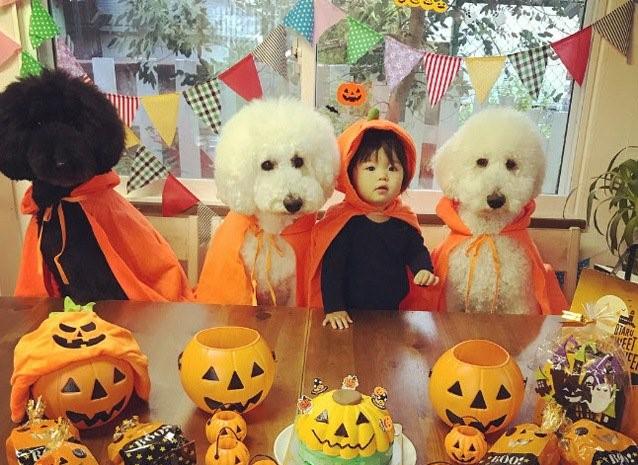 "Biến hóa" mùa lễ hội: Hóa trang Halloween cho bé gái