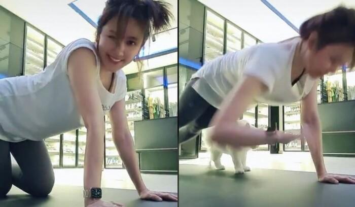 Cứ nửa đêm lại lôi thảm ra tập và live stream, Hari Won bị fan nhắc nhở