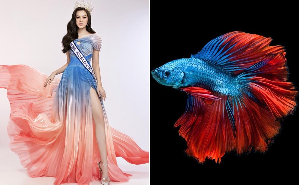 Trước thềm Halloween, Đỗ Thị Hà ẩn ý gì khi "cosplay" một chú cá chọi cực kỳ xinh đẹp?