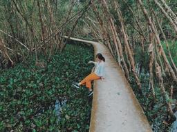 3 rừng tràm đẹp ở miền Tây, cứ đến mùa nước nổi là “mê quên lối về”