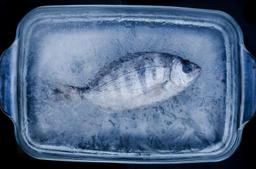 3 cách rã đông cá vừa nhanh vừa giữ nguyên độ tươi, thịt chắc không tanh