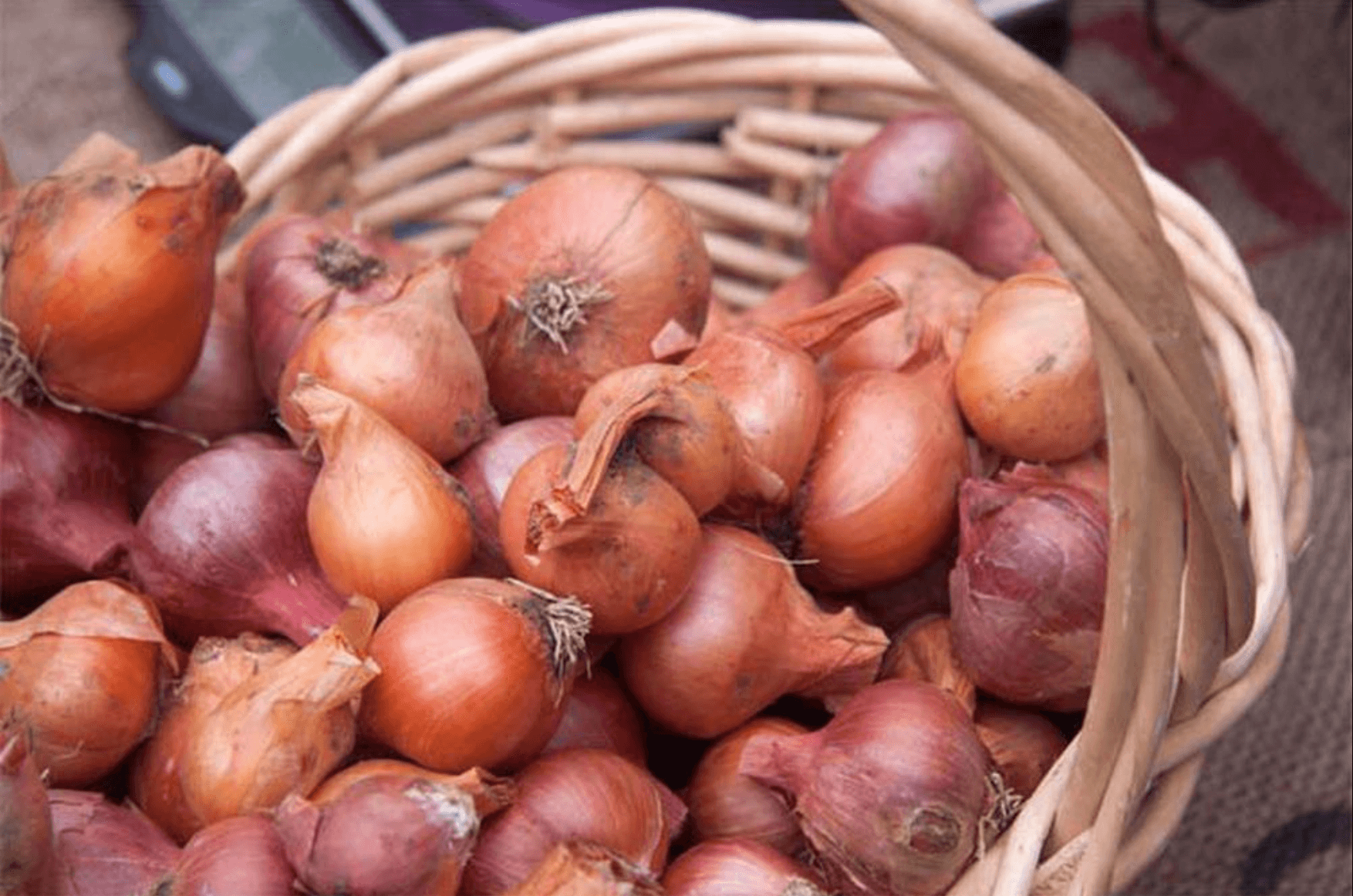 Mẹo chọn và bảo quản hành tím khô, để cả năm không hỏng củ nào