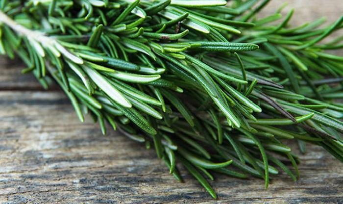 15 loại thảo mộc chống lão hóa tốt nhất cho làn da tươi trẻ (P3)