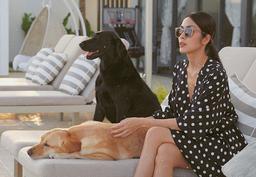 Nàng tuổi băm học ngay cách phối đồ của mỹ nhân Việt để luôn sành điệu