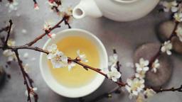 Trà trắng: Thực phẩm nâng tầm nhan sắc