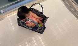 Người bình thường dùng nôi còn Đàm Thu Trang dùng túi 70 triệu "đựng" con