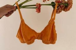 Đã tới lúc bạn sắm 5 kiểu nội y mùa hè này