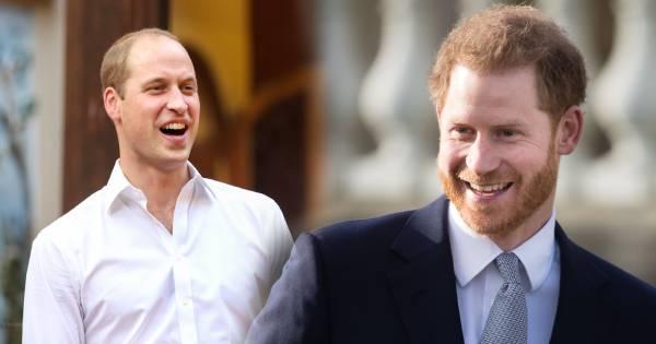 Harry nhắc tên anh trai William trước ngày khánh thành tượng Diana