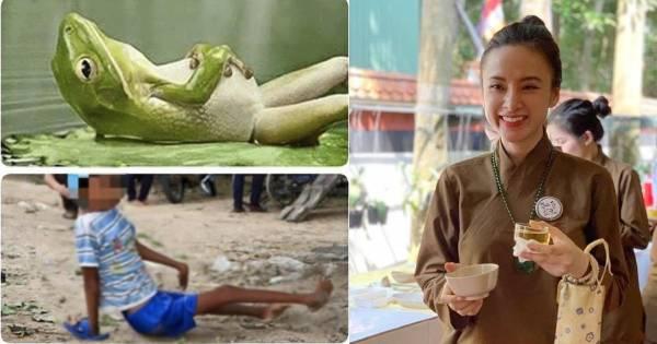 Angela Phương Trinh kể chuyện nhân quả: Bố mẹ bắt nhái, con khuyết tật chân
