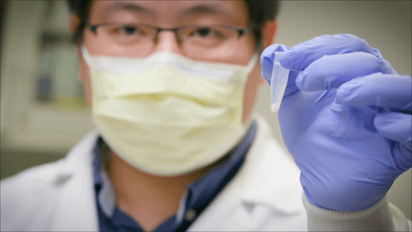 Đã tìm thấy kháng thể tí hon vô hiệu hoàn toàn virus gây Covid-19