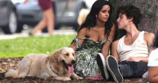 Camila Cabello và Shawn Mendes tay trong tay trên phố sau 2 tháng từ tình yêu xuống tình bạn