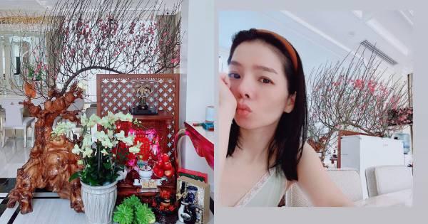 Toàn cảnh Lệ Quyên năm đầu đón Tết trong căn biệt thự triệu đô với tình trẻ kém 12 tuổi