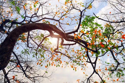 Thời tiết ngày 7/10: Bắc Bộ trời hửng nắng, miền Trung mưa lớn