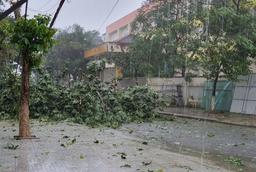 Bão số 9 vượt sức hủy diệt của bão Damrey 2017 và bão Xangsane 2006