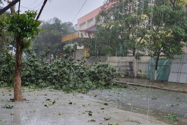 Bão số 9 vượt sức hủy diệt của bão Damrey 2017 và bão Xangsane 2006