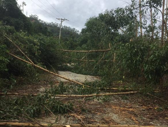 Đường 71 lại sạt lở, ngăn cản việc tìm kiếm tại thủy điện Rào Trăng 3