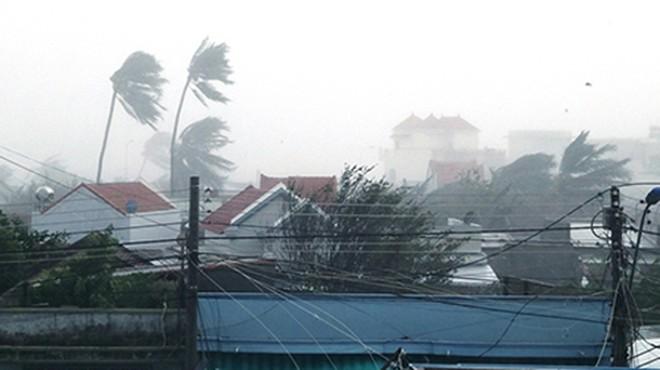 Cơn bão số 12 đang càn quét đất liền, mưa lớn đến 12/11