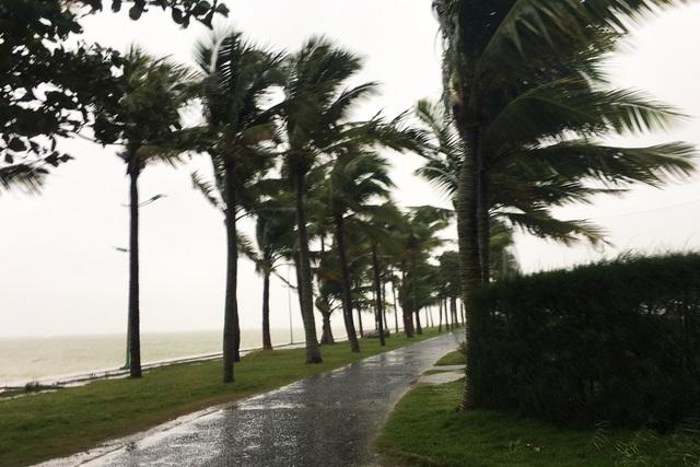 Bão số 13 suy yếu thành áp thấp, mưa lớn kéo dài hết chiều mai