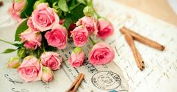 Những lời chúc hay và ý nghĩa nhất dành tặng thầy cô giáo ngày 20/11