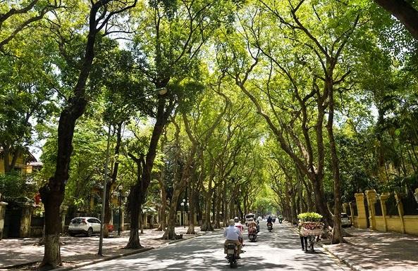 Thời tiết ngày 19/11: Nắng ấm, thích hợp đi du lịch miền Bắc