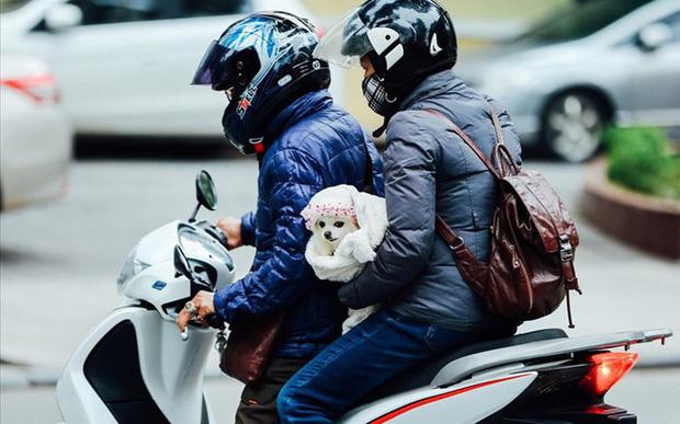 Miền Bắc chuẩn bị đón đợt rét đậm rét hại mạnh nhất mùa Đông 2020