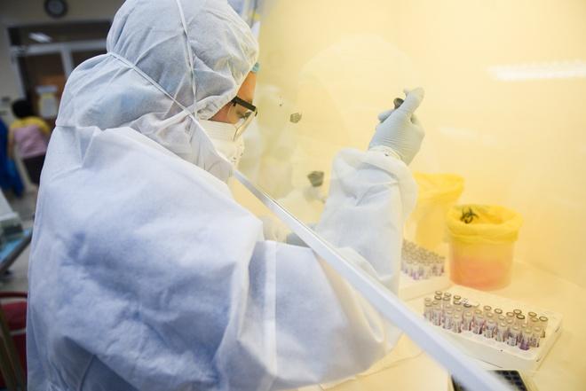 Giải trình tự gene của bệnh nhân 1552 và 1553 để xác định có nhiễm biến chủng mới hay không