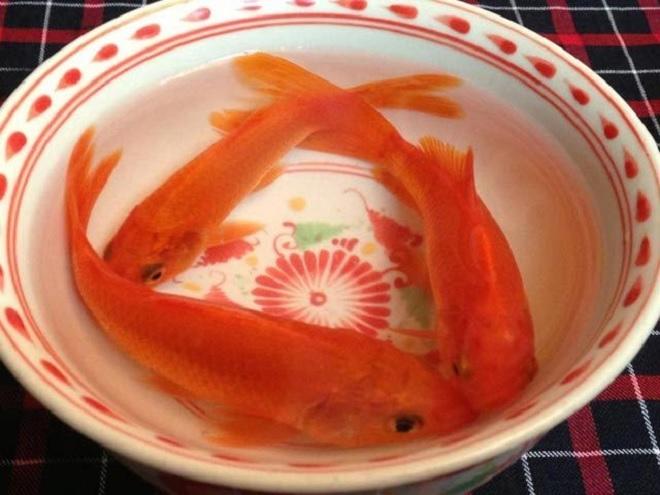 Cúng ông Công ông Táo cần mấy con cá chép mới đúng?