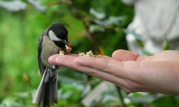 Điều phải kiêng kị trong ngày đầu tháng 5 Âm lịch để cả tháng may mắn
