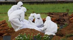 Virus Nipah gây chết người ở Ấn Độ là gì? Vì sao nguy hiểm hơn SARS-CoV-2?