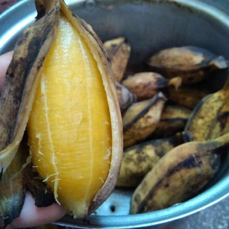 Trước mỗi bữa cơm ăn 1 quả chuối luộc, mỡ bụng không còn, da lại sáng lên