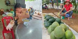 Anh CSGT trẻ ngày tới cơ quan, đêm bốc vác kiêm phụ hồ để kiếm tiền cứu hộ chó mèo bị bán vào lò mổ