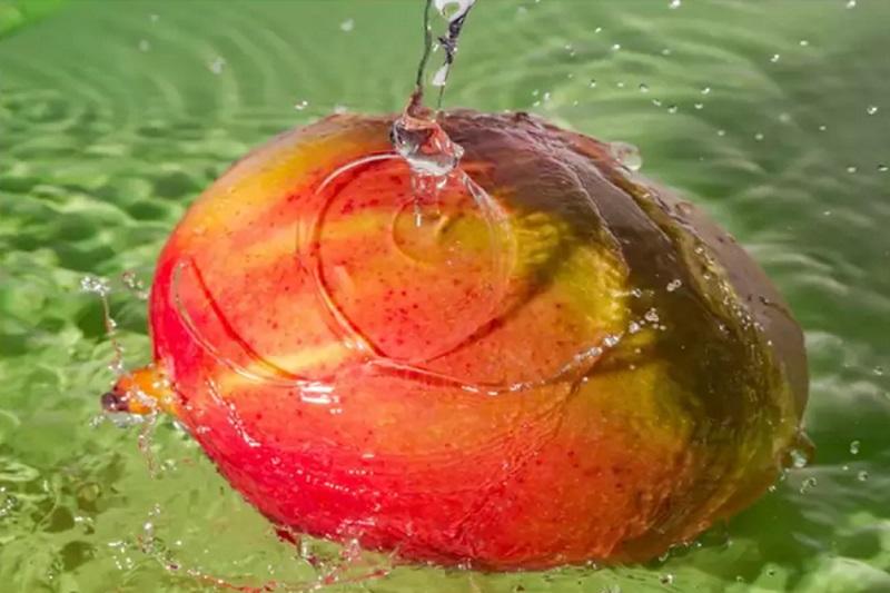 Xoài ăn rất ngon, nhưng muốn ăn an toàn, trước khi gọt vỏ hãy ngâm xoài trong nước