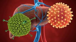 CDC Hoa Kỳ thông tin bất ngờ về thời gian xuất hiện của dịch viêm gan "bí ẩn"