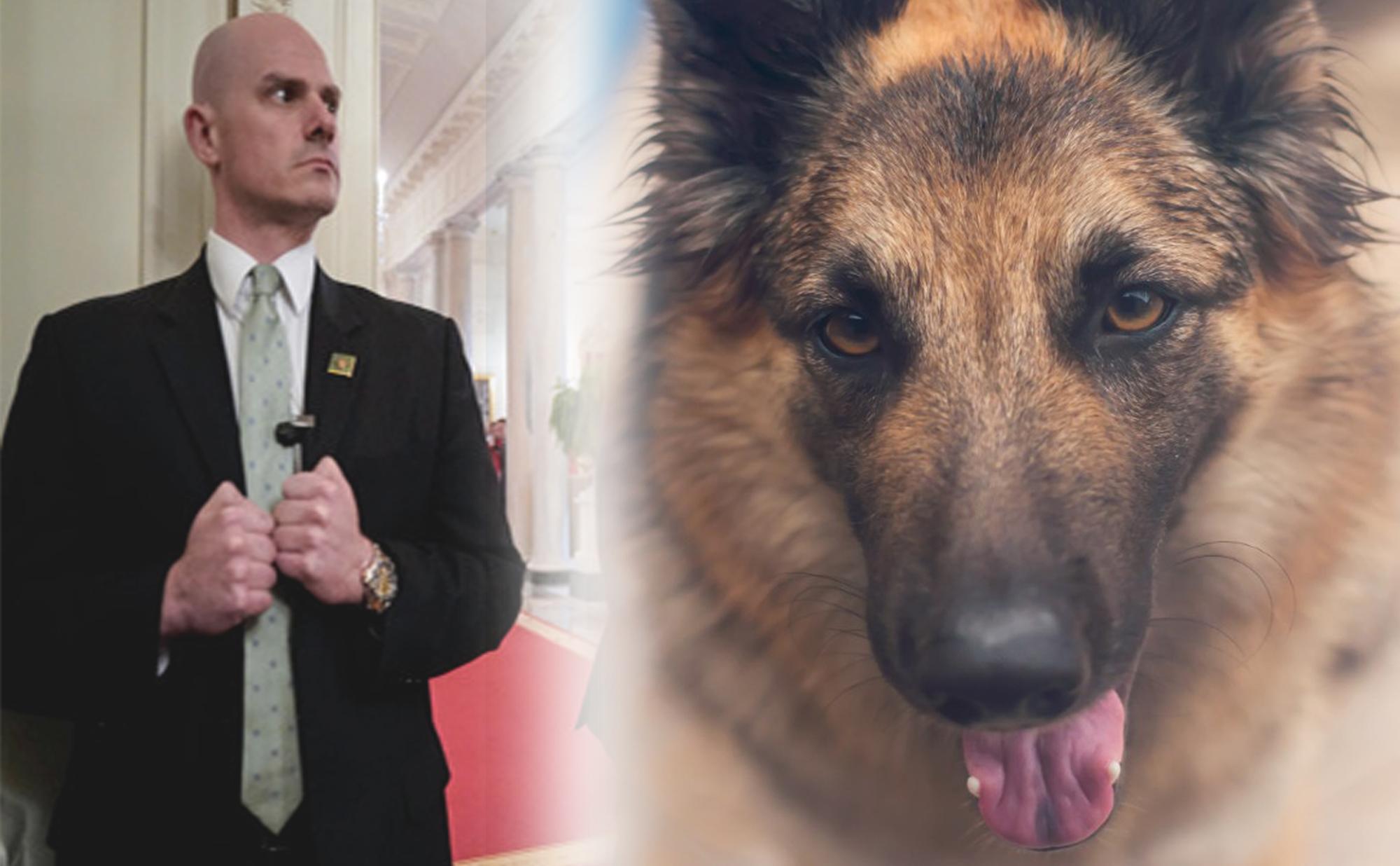 Tổng thống Biden "tiễn" hai chú chó cưng về quê vì "xực" mật vụ Nhà Trắng