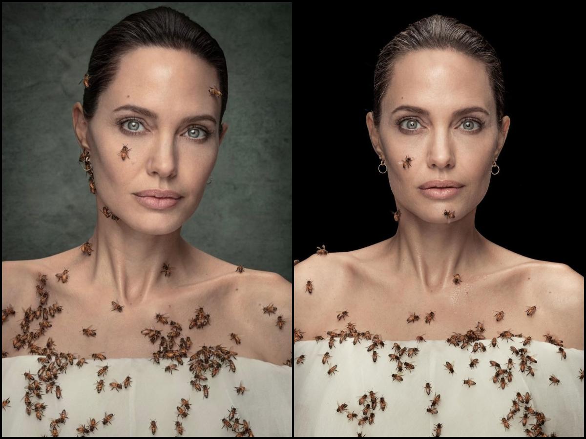 Angelina Jolie chụp hình cùng ong mật mà không cần mặc đồ bảo hộ