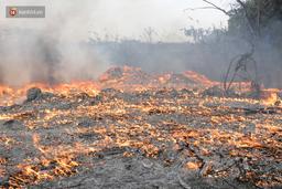 Hà Nội: Cháy lớn ngay dưới chân cầu Thanh Trì