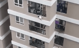 Bé gái rơi từ tầng 12 sẽ xuất viện vào hôm nay, ngày 4/3