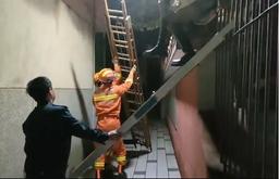 Nữ sinh bị mắc kẹt khi trèo rào vào trường vì ham chơi về muộn
