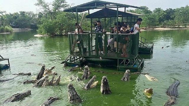 Mỹ: Người đàn ông nhảy xuống hồ đầy cá sấu vì bị tắc đường 2 tiếng