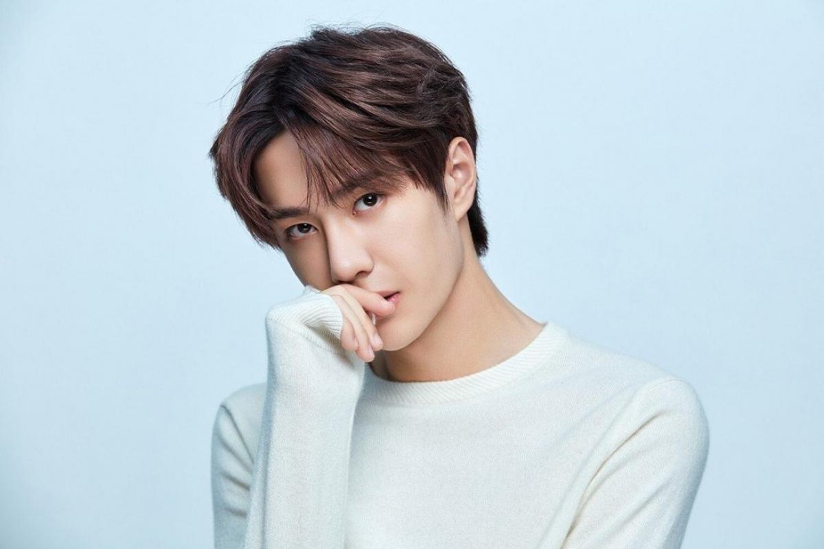 Vương Nhất Bác là ai? "Tứ tiểu thiên vương" đa tài bậc nhất showbiz Hoa ngữ